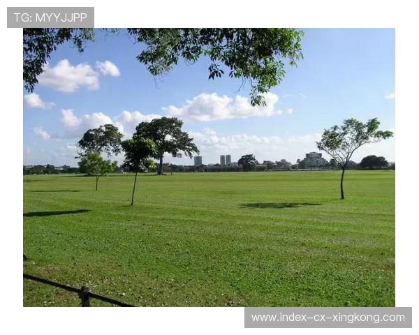 多巴哥国际运动节吸引大量游客，多巴哥属于哪个洲
