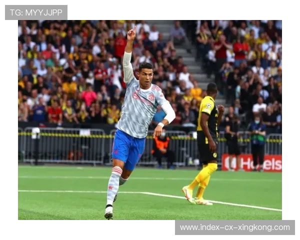 布鲁诺回撤组织推进